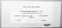 Image Associated With the Occurence